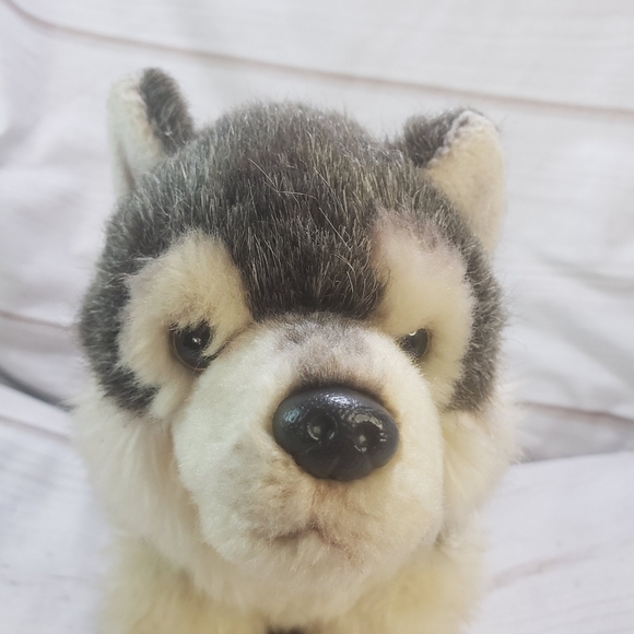 Nat & Jules Realistic Timber Wolf Husky Dog Plush Stuffed Toy 10 Inch 2013 - Picture 9 of 9